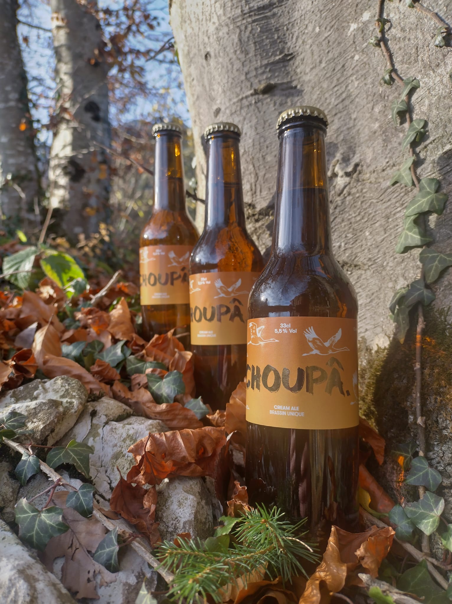 image d'une bouteille de bière noire